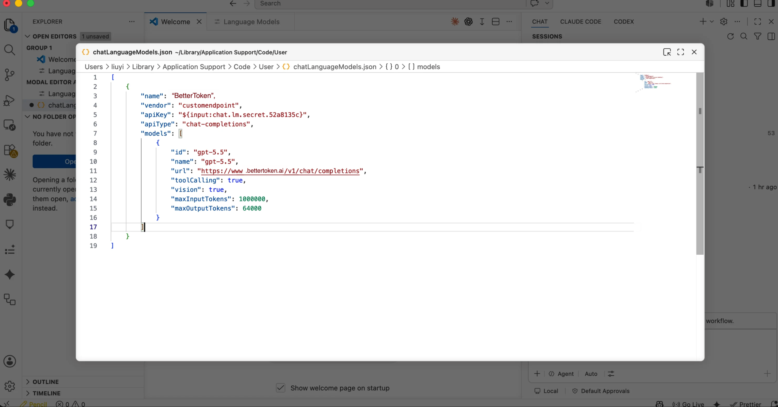 在 chatLanguageModels.json 中配置 BetterToken 模型 URL、toolCalling、vision 和 token 上限。